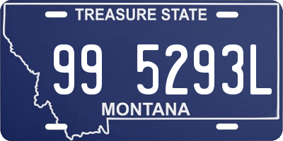 MT license plate 995293L