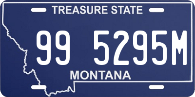 MT license plate 995295M