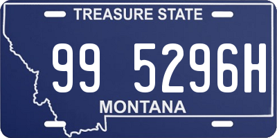 MT license plate 995296H