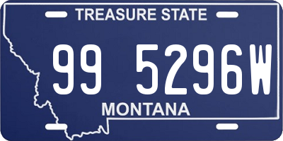 MT license plate 995296W