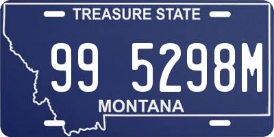 MT license plate 995298M