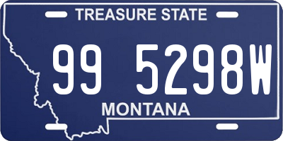 MT license plate 995298W