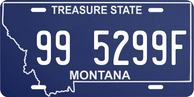 MT license plate 995299F