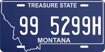 MT license plate 995299H