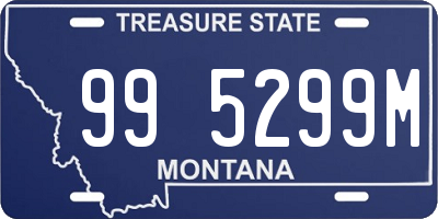 MT license plate 995299M