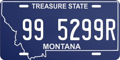 MT license plate 995299R