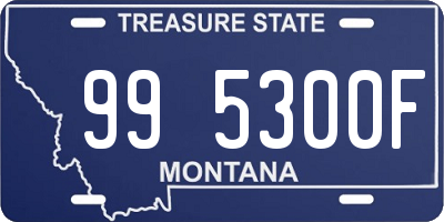 MT license plate 995300F