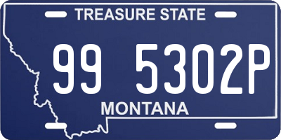 MT license plate 995302P