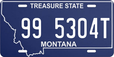 MT license plate 995304T