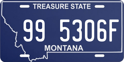 MT license plate 995306F