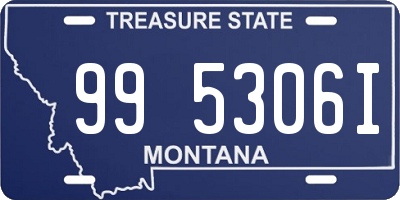 MT license plate 995306I