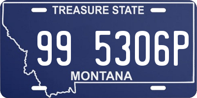 MT license plate 995306P