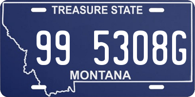 MT license plate 995308G