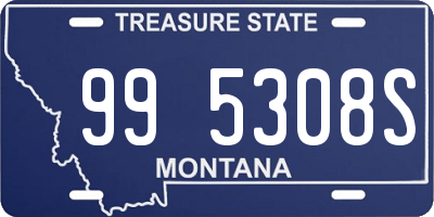 MT license plate 995308S