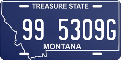 MT license plate 995309G