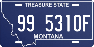 MT license plate 995310F