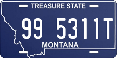 MT license plate 995311T