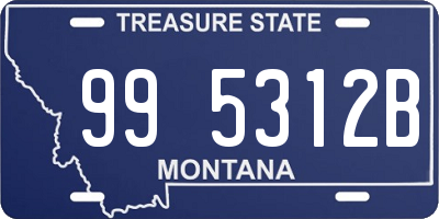 MT license plate 995312B