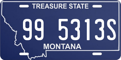 MT license plate 995313S