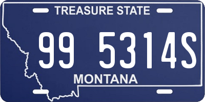 MT license plate 995314S