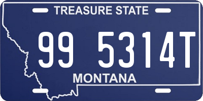 MT license plate 995314T