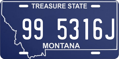 MT license plate 995316J