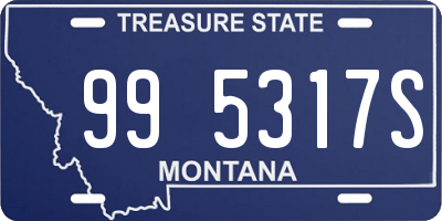 MT license plate 995317S