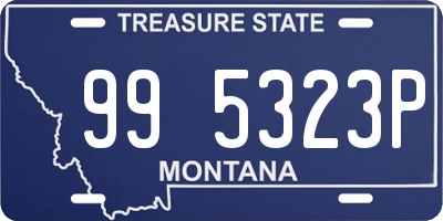 MT license plate 995323P