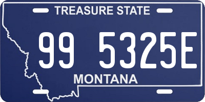 MT license plate 995325E