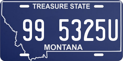 MT license plate 995325U