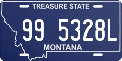 MT license plate 995328L