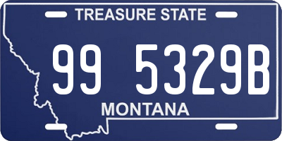 MT license plate 995329B