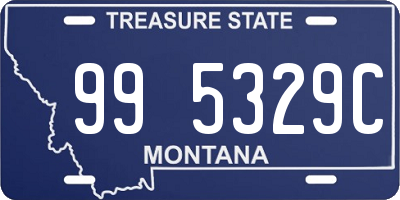 MT license plate 995329C