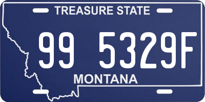 MT license plate 995329F