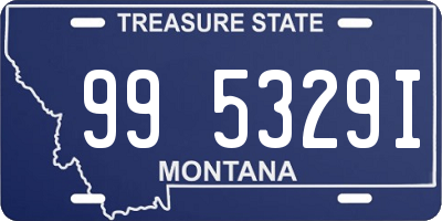 MT license plate 995329I