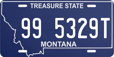 MT license plate 995329T