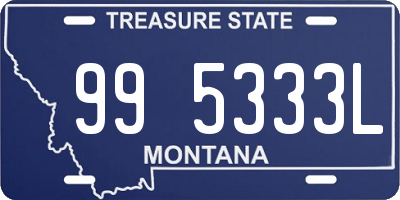 MT license plate 995333L