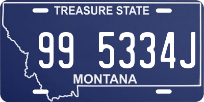 MT license plate 995334J