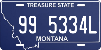 MT license plate 995334L