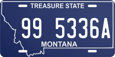 MT license plate 995336A