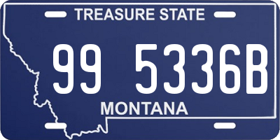 MT license plate 995336B