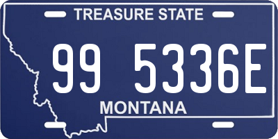 MT license plate 995336E