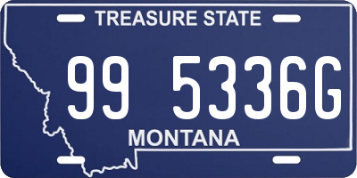 MT license plate 995336G