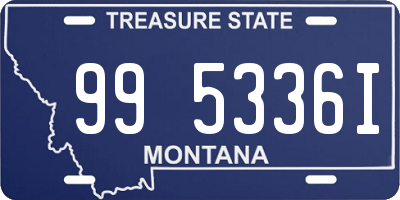 MT license plate 995336I