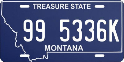 MT license plate 995336K