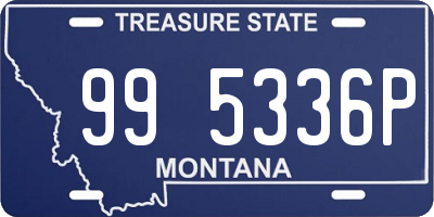 MT license plate 995336P