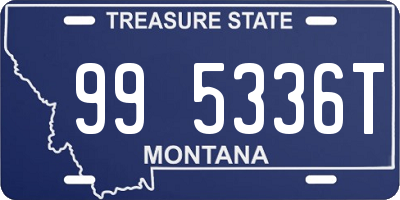 MT license plate 995336T