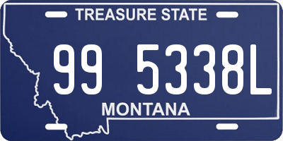 MT license plate 995338L