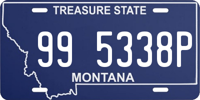 MT license plate 995338P