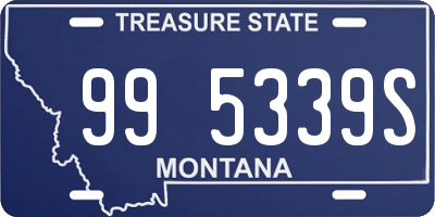 MT license plate 995339S